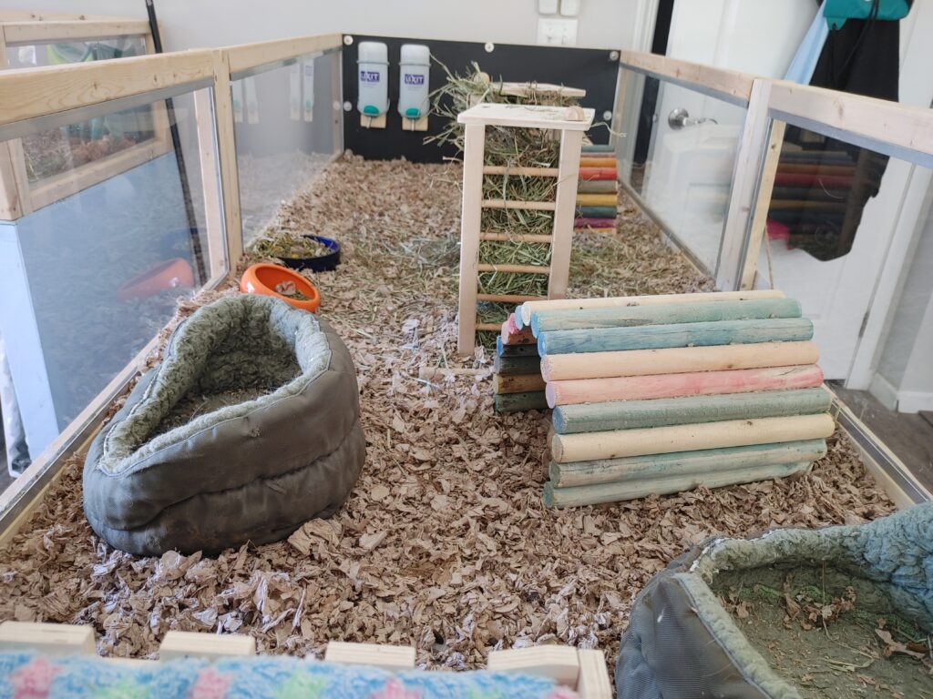 piggie pen