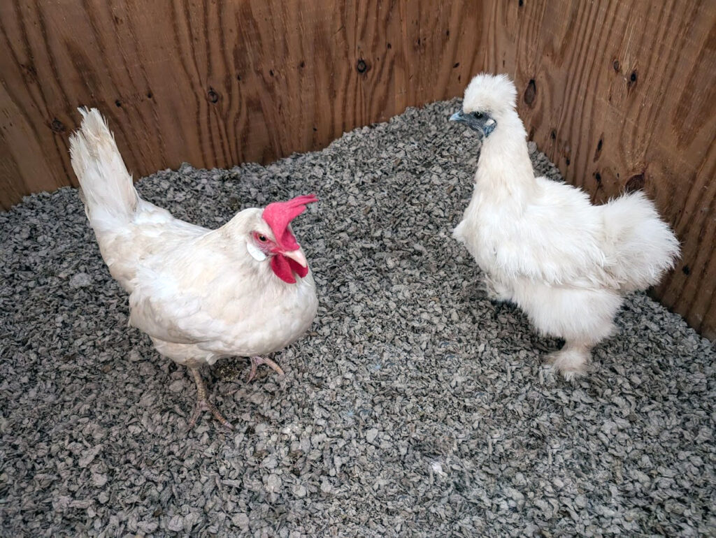 Betty with Lottie