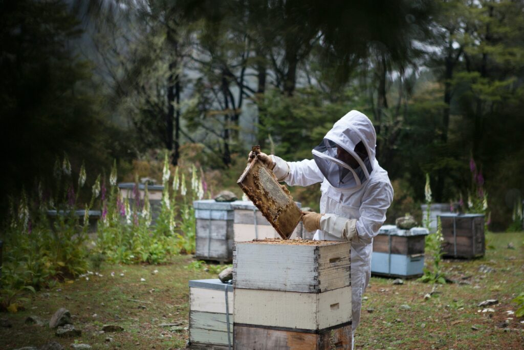 hive checks
