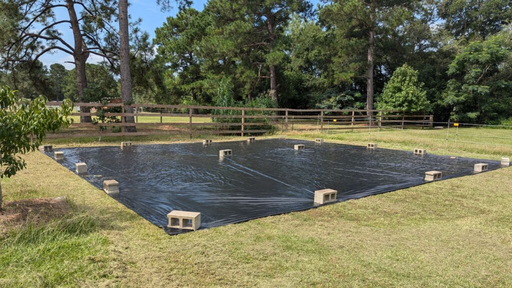 tarp
